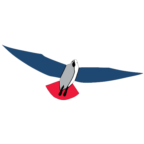Party for Freedom